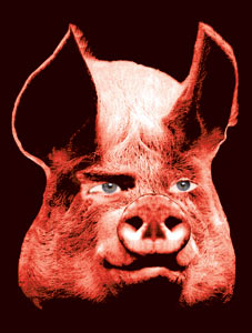 Animal Farm at Theatr Mwldan