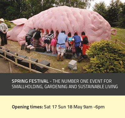 Join  Articulture and the Whalley Range All stars �PIG� encounter Royal Welsh Spring Festival 2014 in the pig pens !