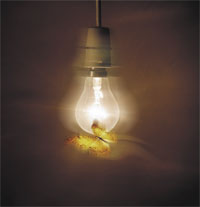 South Wales Theatre Collective present 