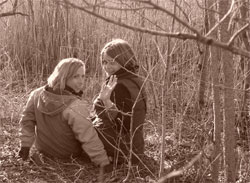 Midsummer Night's Dream ....in Stackpole