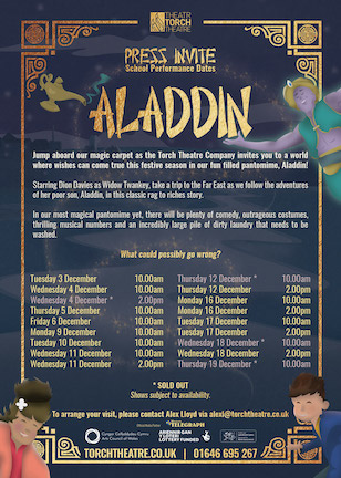 Jump on board our magic carpet this December with our most magical pantomime yet, Aladdin, here at the Torch Theatre.