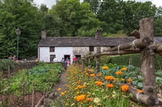 Gorffennaf/Awst 
- July/August 2019
Amgueddfa Cymru - National Museum Wales