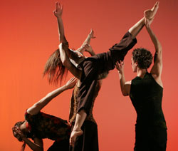 Come Dance Writing