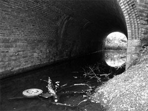 The River