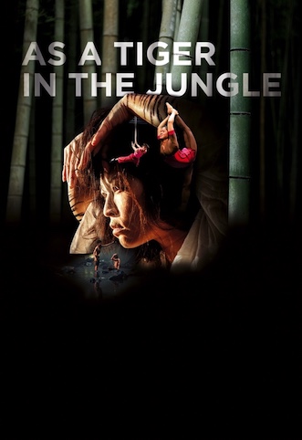 AS A TIGER IN THE JUGLE
Cirkus Xanti & Ali Williams Productions
Canolfan y Celfyddydau Aberystwyth Arts Centre
MAI 12 MAY