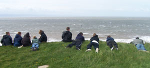 Looking Out To See