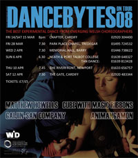 Dance Bytes On Tour 2008
