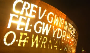 NADOLIG RHEWLLYD YNG NGHAERDYDD