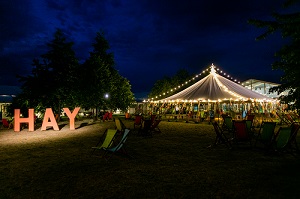 A Political Diary by Europe and Referendum