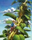 Aberystwyth Pantomime by Wardens Company- Jack and the Beanstalk