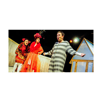 At the Sherman by Sherman Cymru- The Ugly Duckling