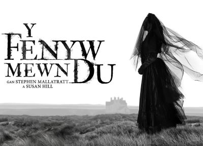 Theatr na n'Og by Y Fenyw Mewn Du- Critical Round-up