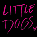 At National Theatre Wales by National Theatre Wales and Frantic Assembly- Little Dogs