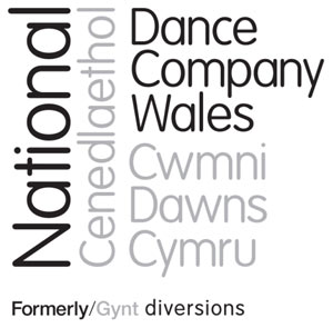 Mae Diversions yn newid ei enw 