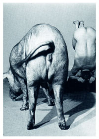 whats welsh for performance? beth yw performance yn gymraeg?  An Oral History of Performance Art in Wales 