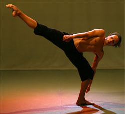 Summer Dance provides contemporary feast of fierce energy in movement and music at New Theatre