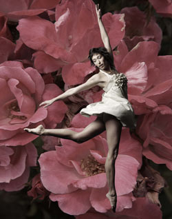 Dance and bubbly to bid farewell to Silver Anniversary Year