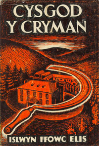 DRAMATIC NOVEL