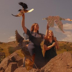 Aderyn/ Bird by Harebell Tellers